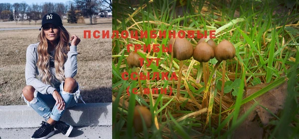 мет Горняк