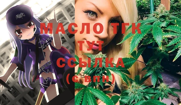 гидропоника Горнозаводск
