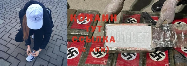 мет Горняк