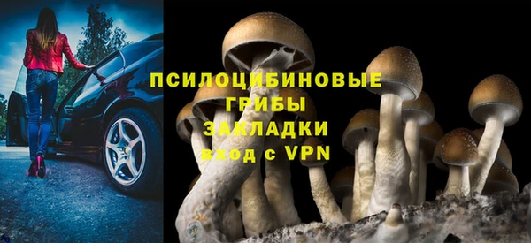 гидропоника Горнозаводск